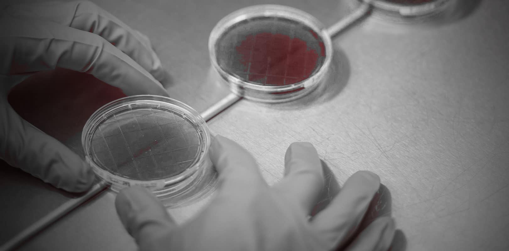 Sanofi: Vielversprechender Corona-Impfstoff