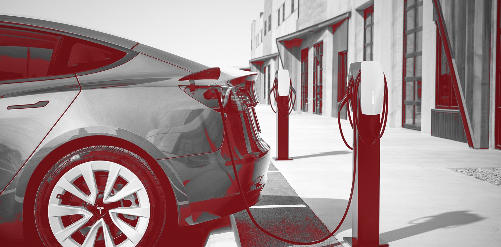 Musk macht Mut: Tesla legt trotz enttäuschender Bilanz kräftig zu