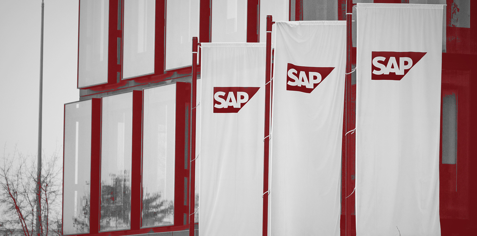 SAP: 25-Prozent-Korrektur übertrieben